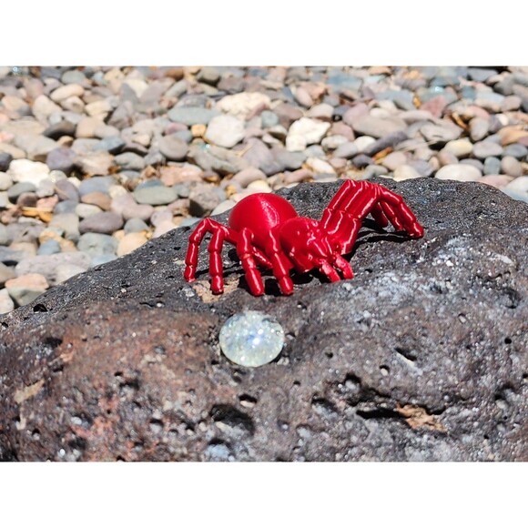 Realistic Articulated Tarantula Spider – 3D Printed – Poseable Red Toy Model - Picture 4 of 4